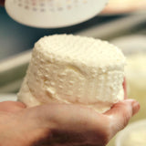 Cheese Making Masterclass with Kristen Allan